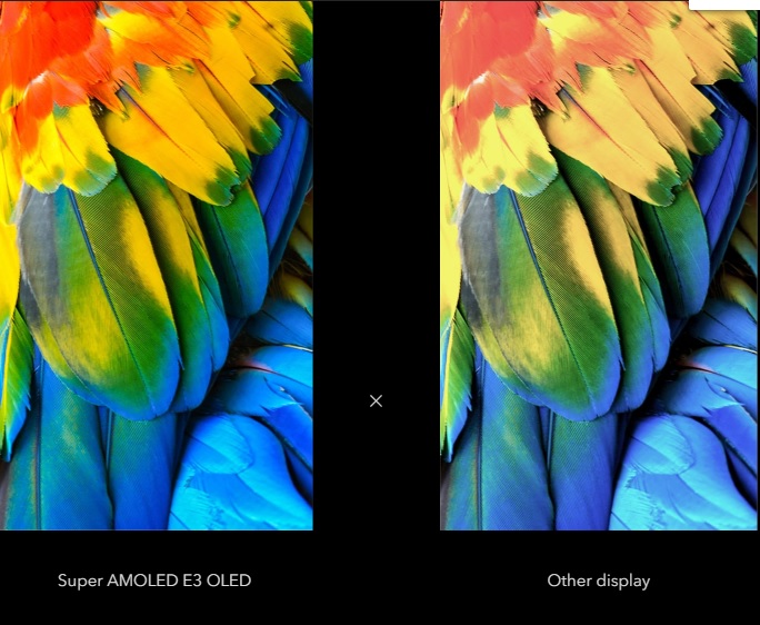 Màu sắc hình ảnh hiển thị trên vivo V17 Pro bên trái so với màn hình thường bên phải